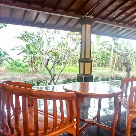 D' Tegal House Apartment Ubud  Exterior photo