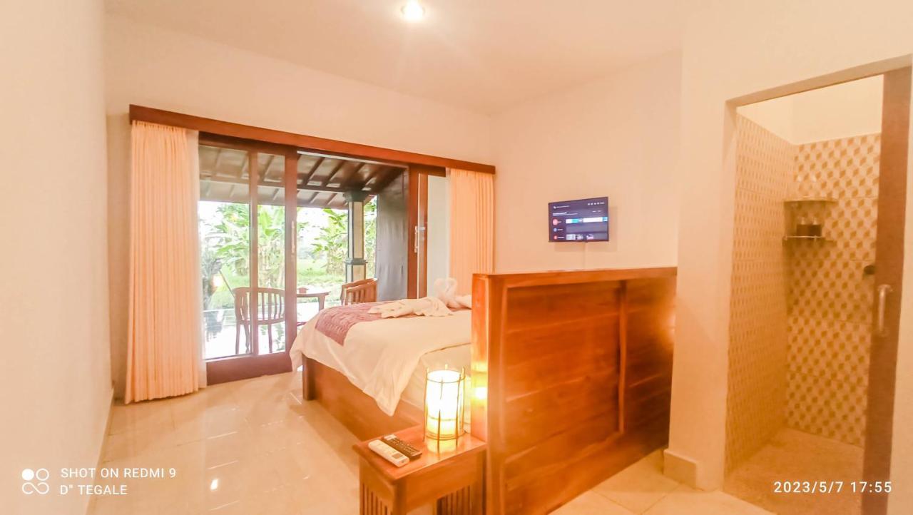 Homestay D' Tegal House *